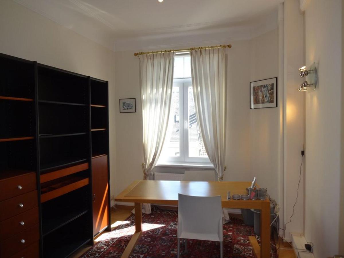 Large Apartment Very Sunny Brussels Centre 外观 照片